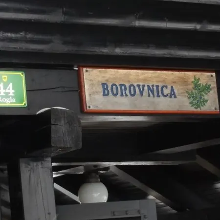 شقة Borovnica Rogla