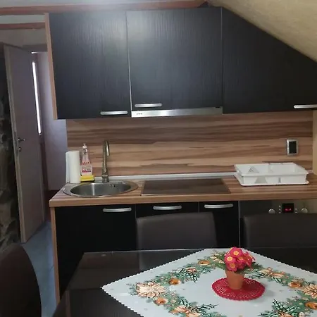 Borovnica Rogla Resnik