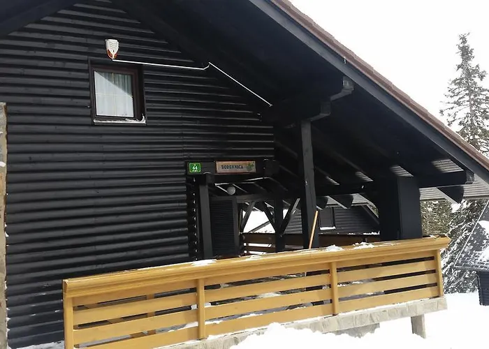 Borovnica Rogla Апартаменты