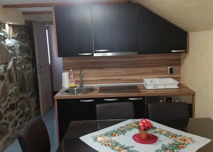 Borovnica Rogla Resnik